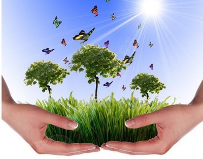 吴道洪 以节能减排技术创新与推广服务，为中国实体经济注入绿色新动力